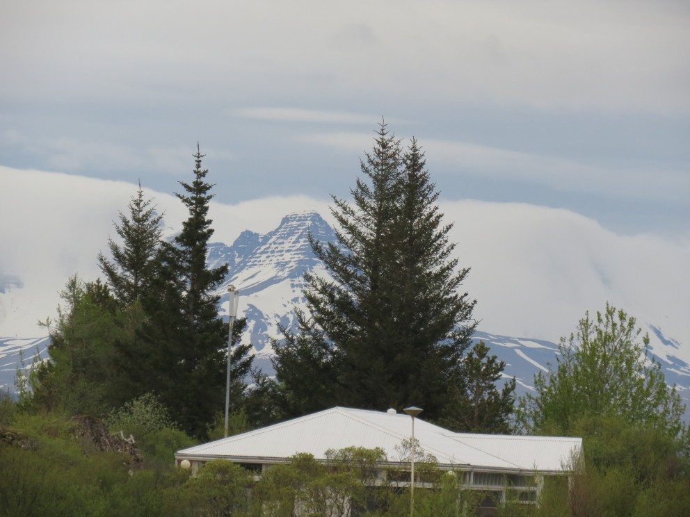 Sumarhúsaúthlutun lokið