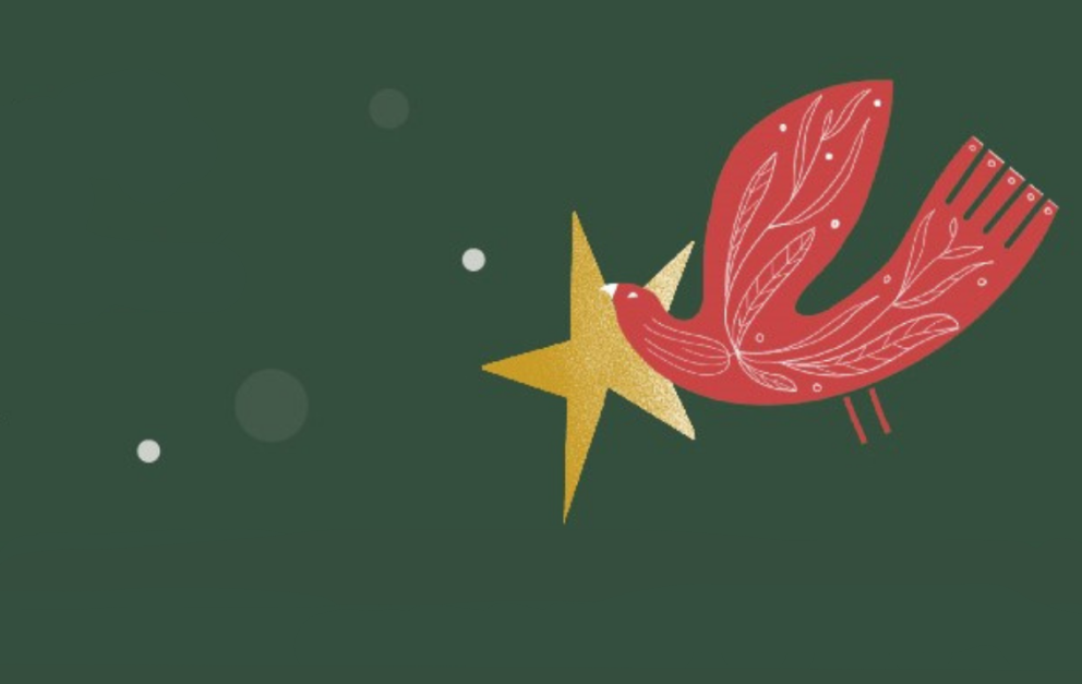 Desemberuppbót 2025 á launaseðlinum – hefur greiðslan skilað sér?